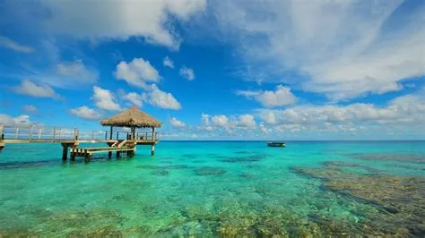 August Summer Wallpaper