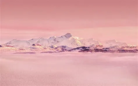 Pink Winter Background