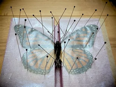 Insect Specimen Pins for Bug Pinning, Entomology Study, Insect ...