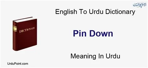 Down Meaning In Urdu | ال پن نیچے | English to Urdu Dictionary
