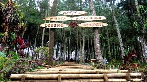 10 Lokasi Wisata Blitar Yang Populer Dan Terbaru Wajib Untuk Kamu Kunjungi