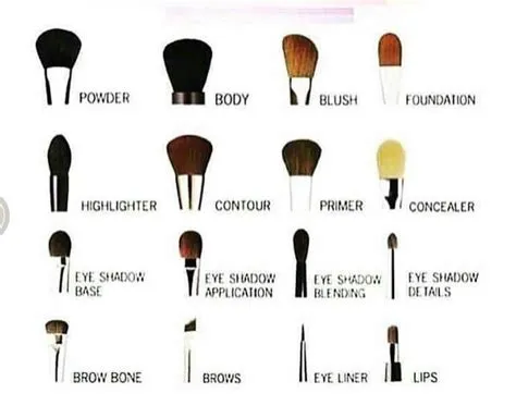 The use and descriptions of all brushes. | Eye makeup brushes, Wedding ...