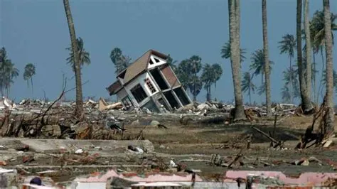 2004 Indian Ocean Earthquake and Tsunami | PreventionWeb