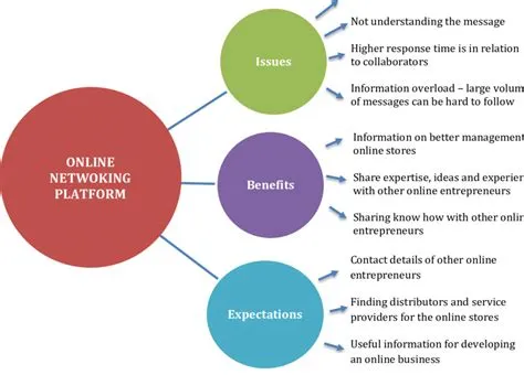 -Online networking platform issues, benefits and expectation Source ...