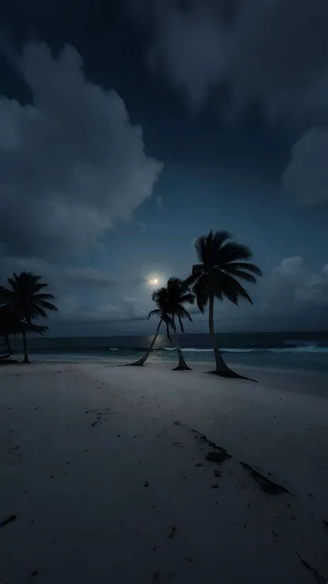 by 🦇 on Phone backgrounds in 2025 | Ocean at night, Night scenery ...