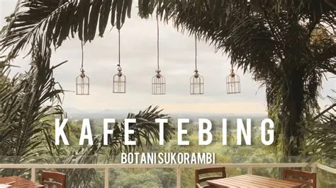 Cafe di Atas Tebing, Suasana Beda Nongkrong di Jember - YouTube
