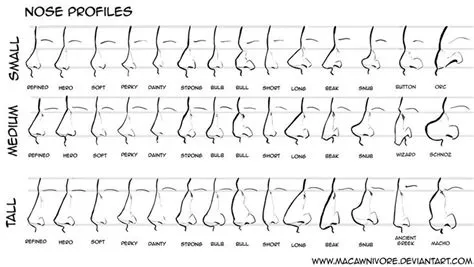 Nose Chart Reference by macawnivore on DeviantArt | Nose drawing, Nose ...
