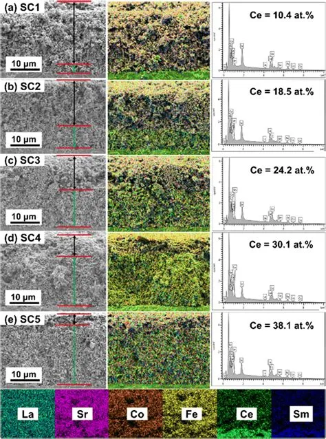 FESEM images of the cross section and EDS mapping of (a) SC1, (b) SC2 ...