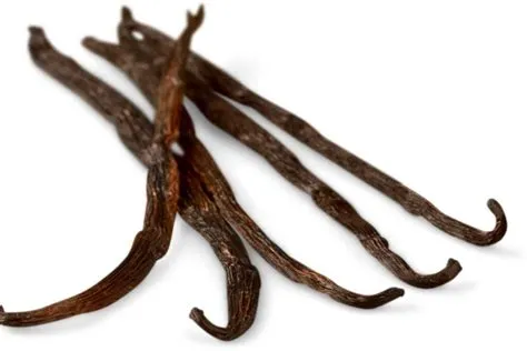 Exploring Types of Vanilla Beans: Your Comprehensive Guide to Varied ...