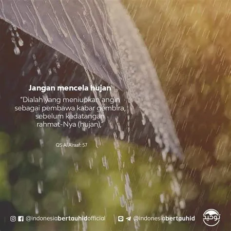 40 Kata Kata Hujan Pagi