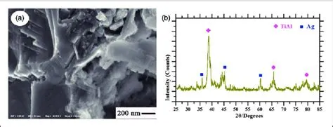 Typical FESEM cross-section morphology of TiAl-10 wt.% Ag (a) and XRD ...