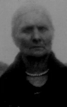 Genevieve Hebert Chasse (1853-1934): homenaje de Find a Grave