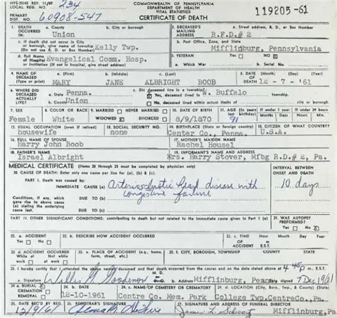 by Wolfgang Wiethoff on Blumen & div. schöne Natur | Weird trees ...