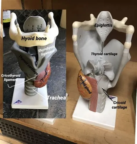 by Michaela ... on work resources | Medical student study, Basic ...
