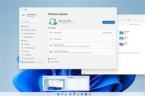 How to Check Windows Version in Windows 11 [Quick Steps]