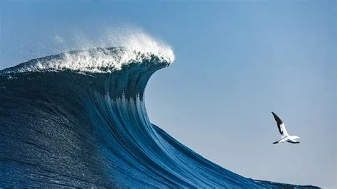 One Of Biggest Tsunamis Ever Recorded Was Set Off Three