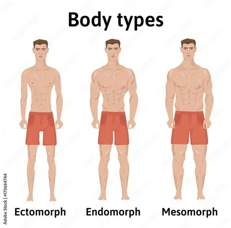 Constitution of human body. Man body types. Endomorph, ectomorph and ...