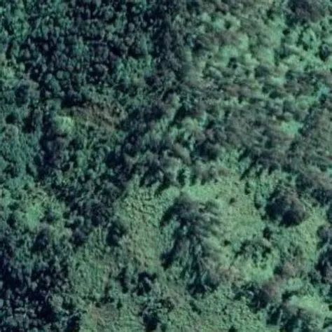 Gunung Cemorokandang (YBJ/JI-034) in Jember, Indonesia (Google Maps)