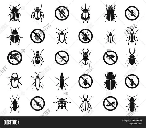 Bugs Icon Set. Simple Image & Photo (Free Trial) | Bigstock