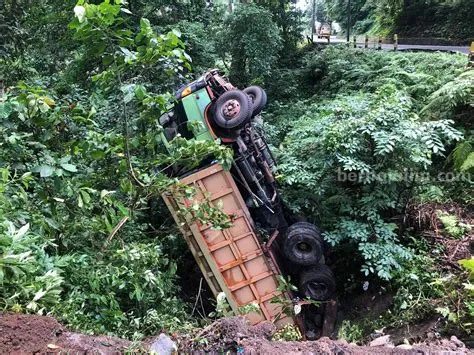 Hindari Kecelakaan, Ini Tips Melintasi Jalur Jember-Banyuwangi di ...