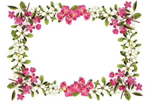 Flower clipart border frame - Results: 15 images for Flower border frame