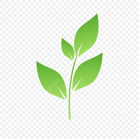 Green Oak Leaf Vector Hd PNG Images, Green Leaf Icon Vector, Leaf, Icon ...