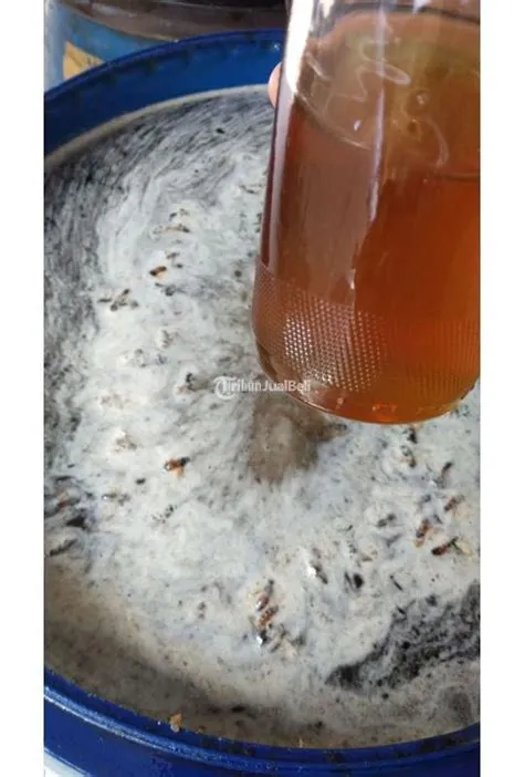 Madu As Salwa Murni 100 Ternak Hutan Grosir Maklon Sumber Sari di ...