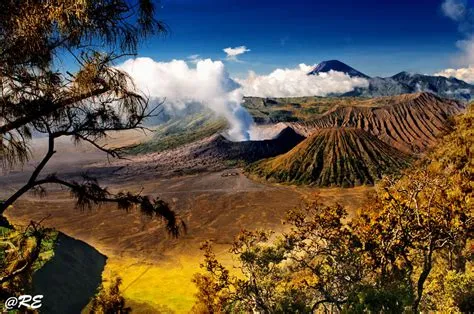 Elevation of Gending, Probolinggo, East Java, Indonesia - MAPLOGS