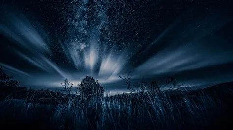 [100+] Dark Nature Pictures | Wallpapers.com