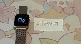 Apple Watch Series 2 38mm - Rose Gold, 8GB, A1757, Aluminum - LYJJ00184 ...