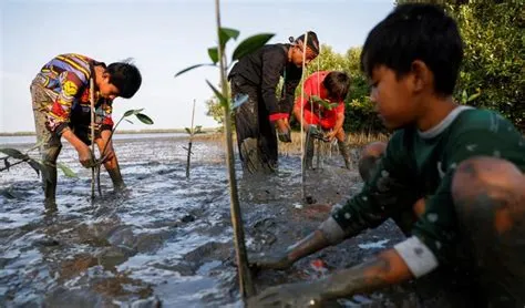 Wisma Jerman Luncurkan Program "1.000 Trees Campaign" untuk Hijaukan ...