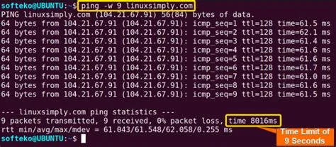 The “ping” Command in Linux [9 Practical Examples]