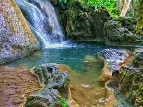 12 Rekomendasi Tempat Wisata di Jember Terbaru - Tokopedia Blog