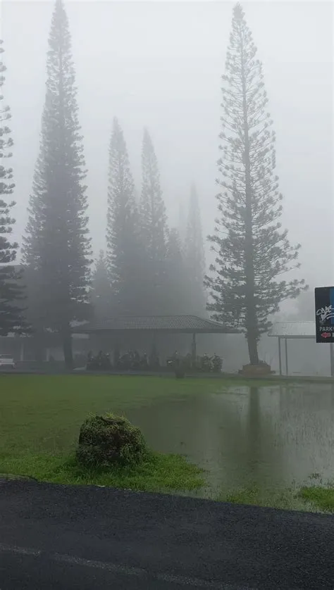 di gabut di 2024 | Gunung, Hujan, Seni