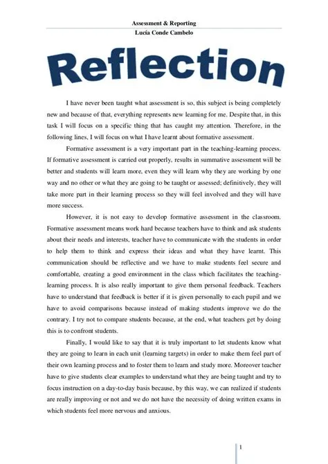 Reflection Paper Example