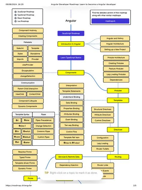 Angular Roadmap | PDF | Java Script | Library (Computing)