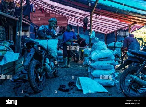 Miners in Indonesia, illegal gold extraction, Java, Asia Stock Photo ...