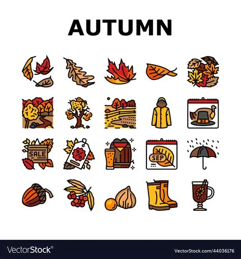 Autumn fall leaf nature season icons set Vector Image