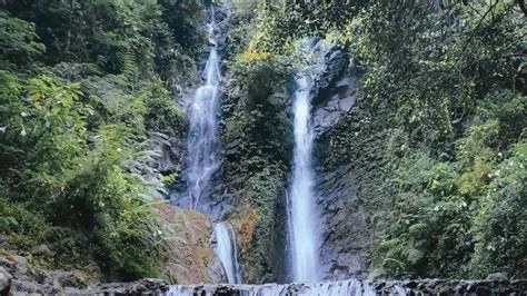 5 Rekomendasi Tempat Wisata Curug di Bogor, Dikelilingi Hutan Rindang ...