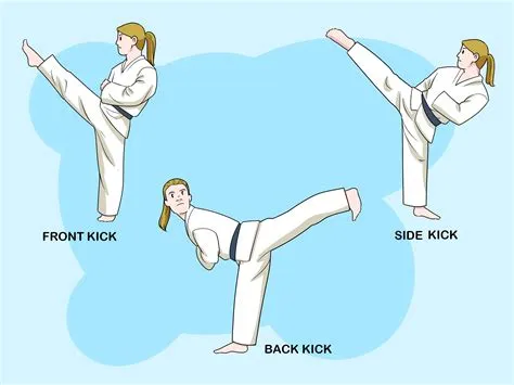 How to Understand Basic Karate: 10 Steps (with Pictures) - wikiHow ...