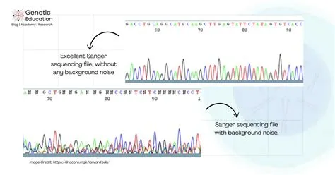 Sanger Sequencing Analysis 102: Background Noise In Sanger Sequencing ...