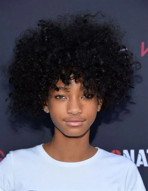 January 2014 Afro Hairstyles, Curly Hair Styles, Will Smith, Willow And ...
