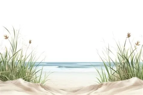 Beach border landscape outdoors horizon | Premium AI-generated image