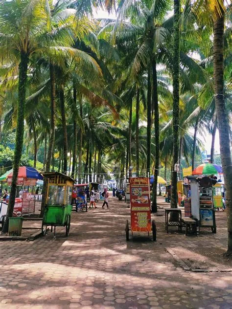 Alun-Alun Jember Jawa Timur, Wisata Asyik Spot Nongkrong Tengah Kota ...