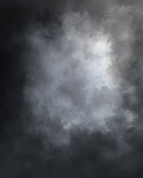 Black Backdrop For Pictures at Jack Waller blog