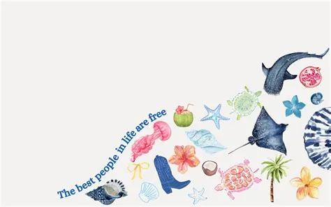 pc and tablet background summer beach | Phone wallpaper, Summer beach ...