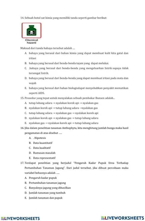 Hakikat Ilmu Fisika interactive worksheet | Live Worksheets