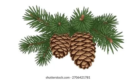 6,563 Nature Detail Forest Pine Stock Vectors and Vector Art | Shutterstock