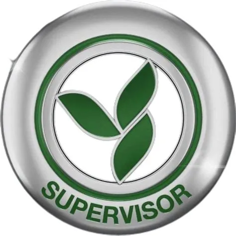 Supervisor – Artofit