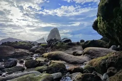 Jangan Ngeres! Singkatan Kelurahan di Jember ini Bikin Otak Traveling ...